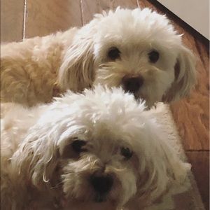 Meet your Posher, Heather